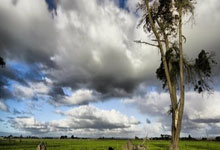 英媒:那不勒斯、尤文图斯都在关注曼联前锋霍伊伦.