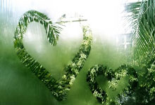 [乒乓球]深圳大学领跑乒超女团.