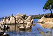 爱游戏：太震撼纽卡夺冠游行30万人挤满街道，庆祝球队时隔70年夺冠.